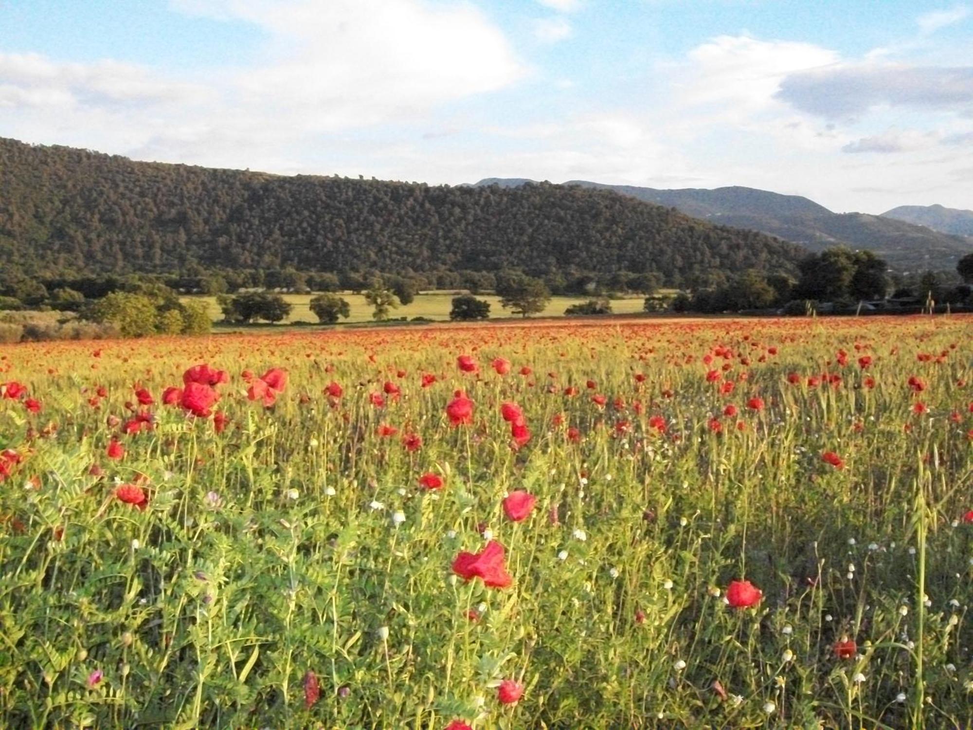 Agriturismo Il Casalino Spoleto Luaran gambar