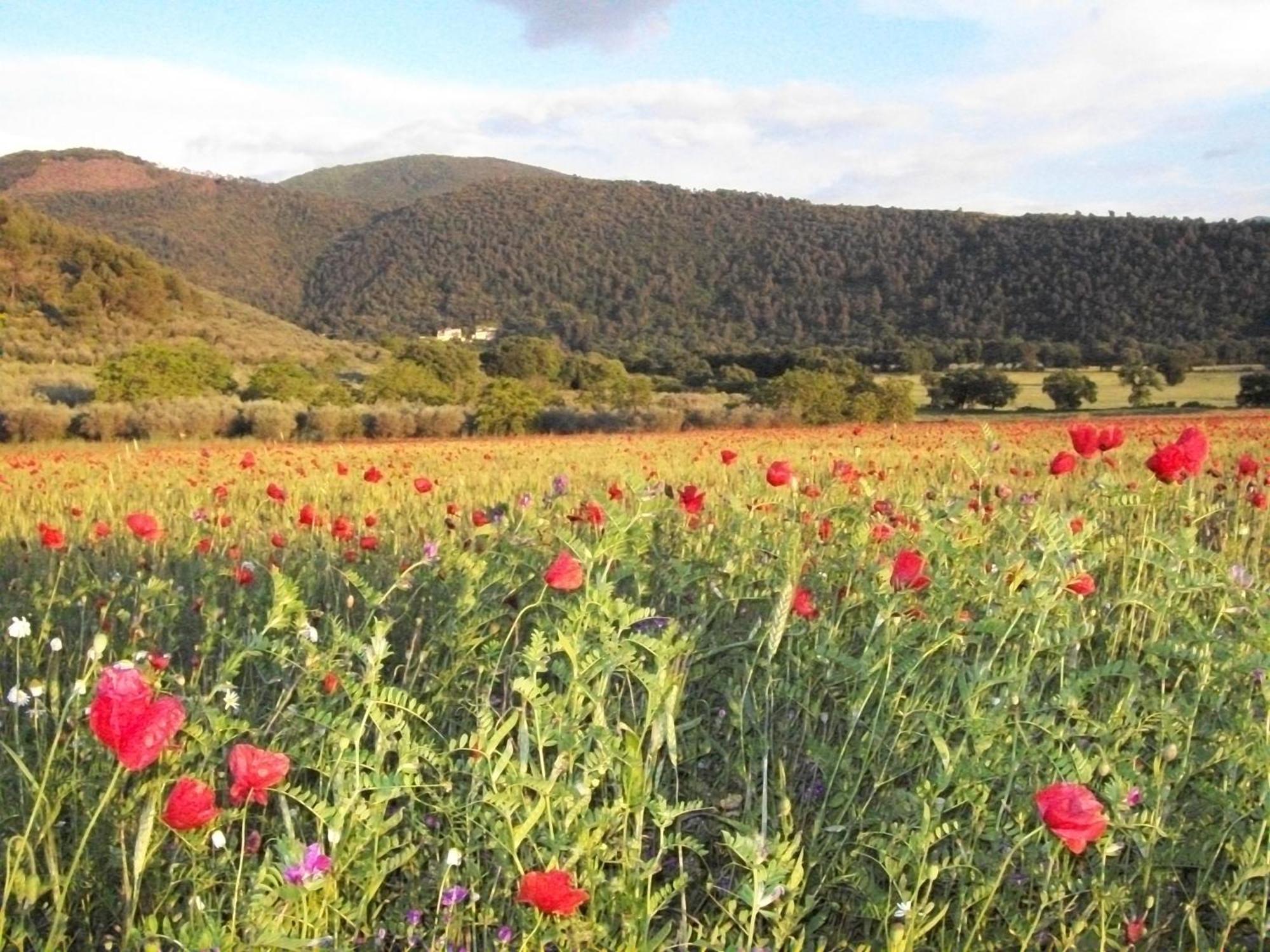 Agriturismo Il Casalino Spoleto Luaran gambar